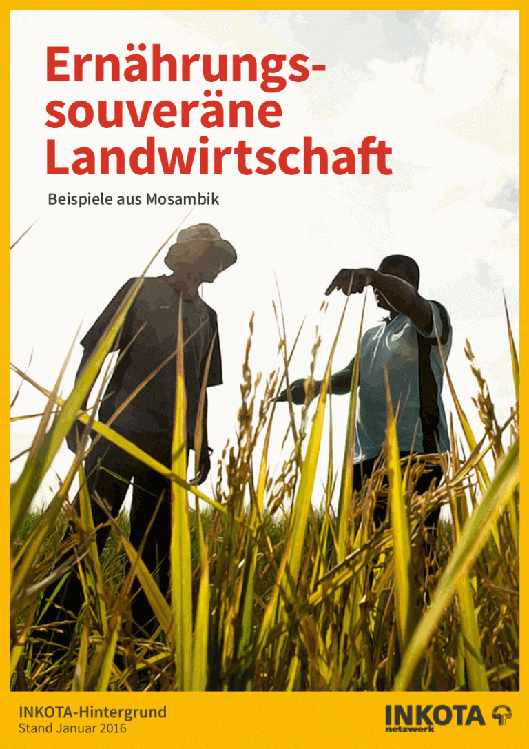 inkota_hintergrund_ernaehrungssouveraene_landwirtschaft_2016_titelseite_01.gif